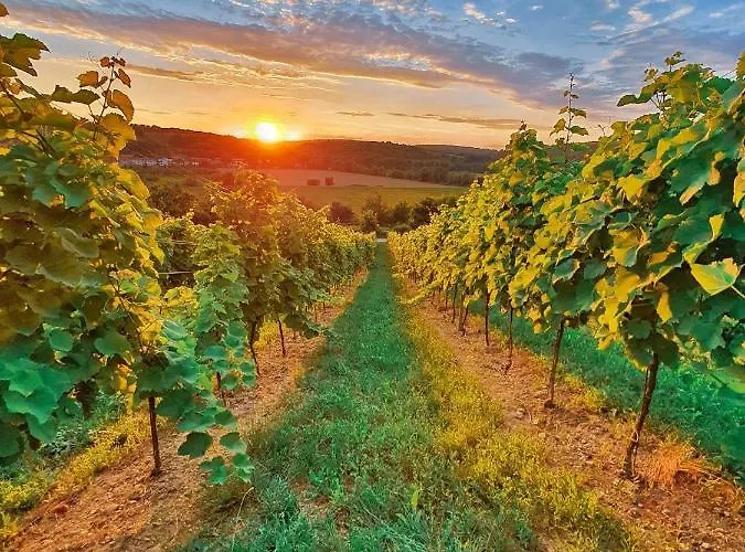 Palavahof Homestay szállás Perná